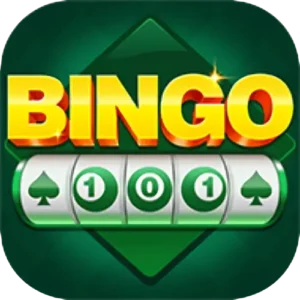 Bingo 101