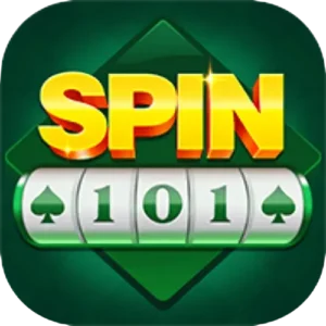 Spin 101